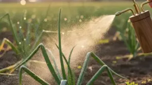 Ekologiczny Oprysk Na Cebulę ekologiczny oprysk na cebule