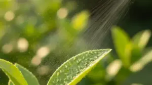 Ekologiczny Oprysk Na Pchełki ekologiczny oprysk na pchelki