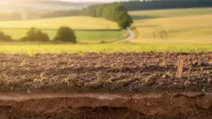 jak sprawdzic klase ziemi na geoportalu