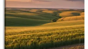 Krajobraz Rolniczy krajobraz rolniczy